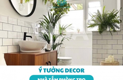 Top ý tưởng decor nhà tắm phòng trọ
