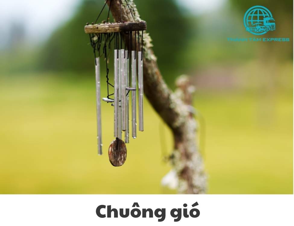 chuyển nhà mới nên mang gì