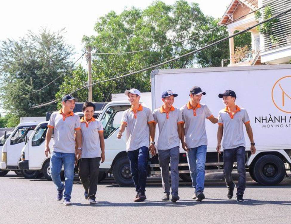 Nhành Mai Mới