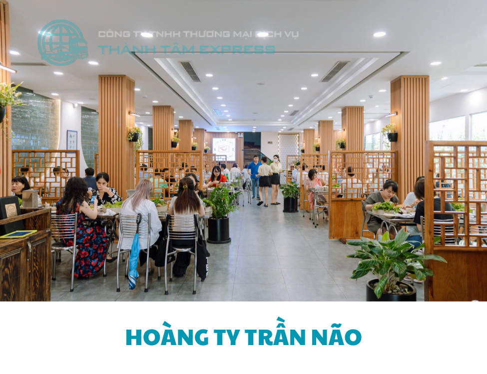 Hoàng Ty Trần Não