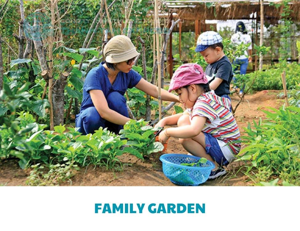 tìm hiểu khu vui chơi Thảo Điền, Quận 2