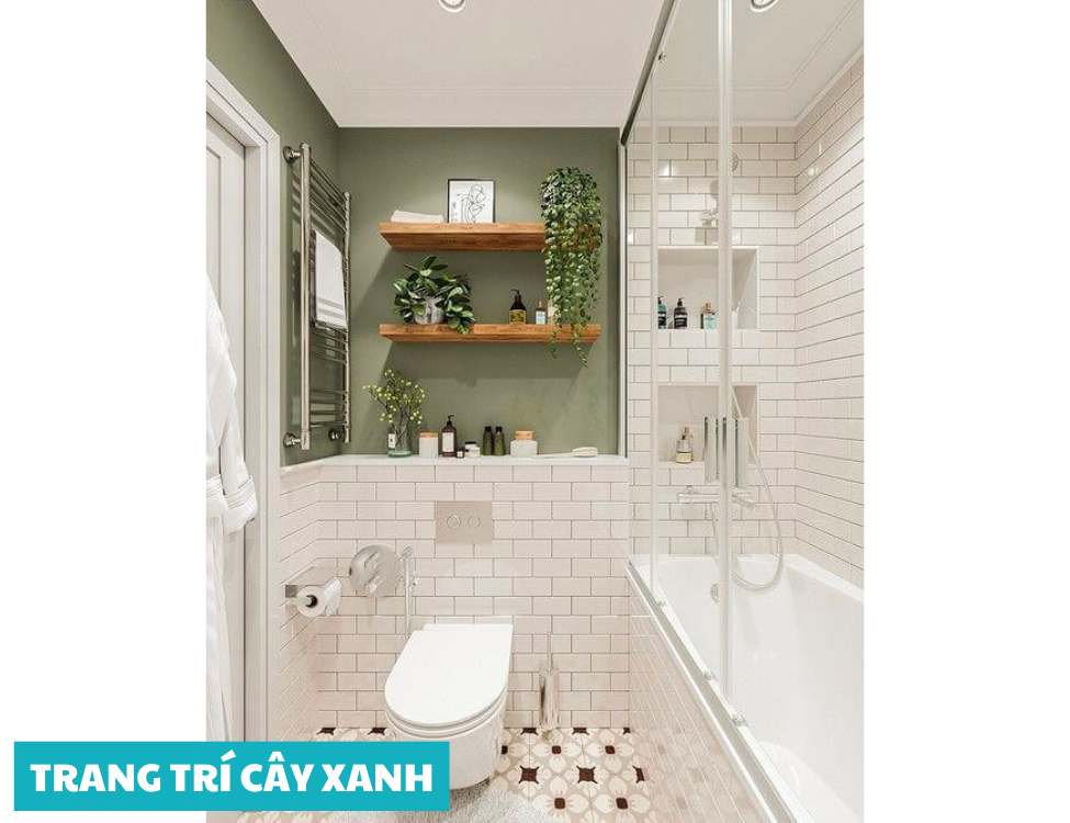 Cây xanh phù hợp phòng tắm
