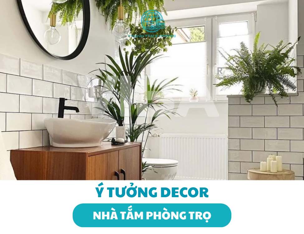 decor nhà tắm phòng trọ