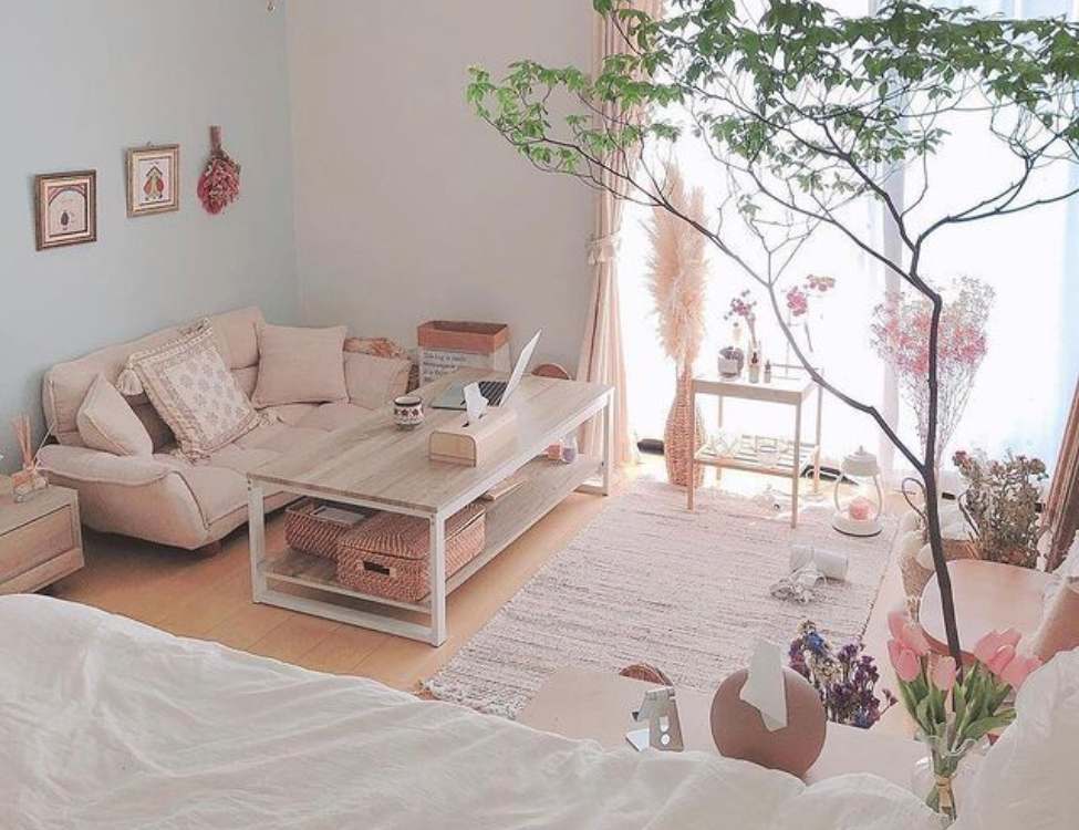 bố trí điển hình cho phòng 20m2 không gác