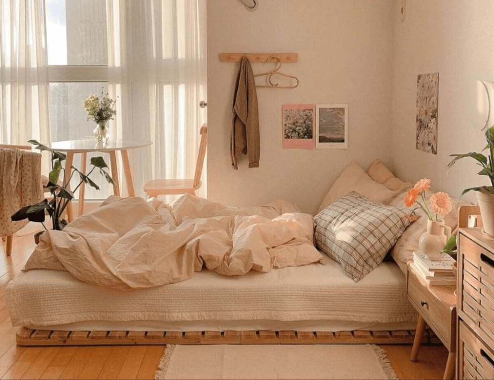 decor phòng trọ 20m2 không gác